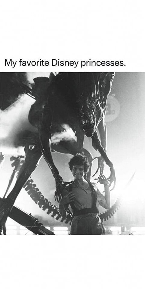 The meme is a humorous comparison between Disney princesses and the Xenomorph from the Alien franchise. It shows a picture of the Xenomorph from the movie Alien, with a caption that reads "My favorite Disney princess". The meme is poking fun at the idea that someone's favorite Disney princess is actually a deadly, alien creature known for its deadly attacks on humans.